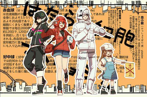 工作细胞漫画,揭秘工作细胞的奇幻旅程